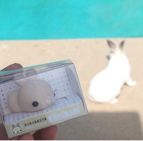 Bunny moni moni squishy ? SuzyCupcake ? Online Store Powered by Storenvy
