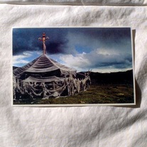 Ulaanpasserine_medium