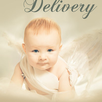 Christmas Delivery