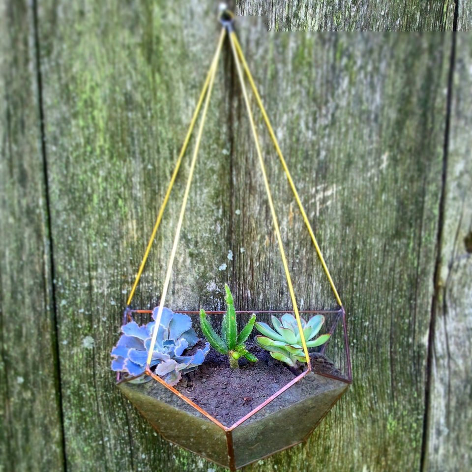 Terrarium / Hanging Terrarium / Himmeli Hanging Planter / Geometric