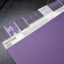 Vintage PANTONE® Poster - 259U