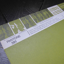 Vintage PANTONE® Poster - 391U