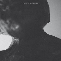 Planks / Lentic Waters - Split