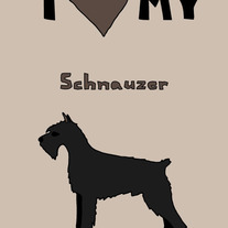 Schnauzer, 5x7 print