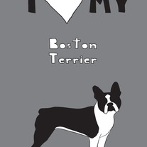 Boston Terrier, 5x7 print