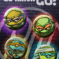 Turtles Pin Set