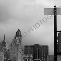 P1020091-1_medium