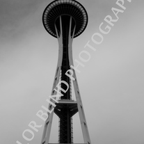 P1010450_medium