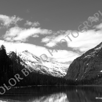 P1010432_medium