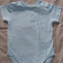 Img_1086_20_800x450__medium