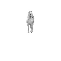 mount