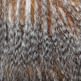 Porcupine_20fur_small