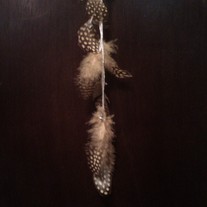 Imag0238_medium