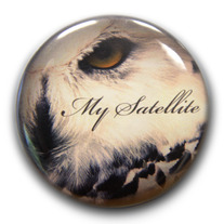Owl_20eye_20pin_20copy_20sm_medium