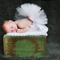 Whitetutu_medium