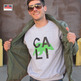 Cali_model_full_small