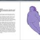 Oorapreview_small