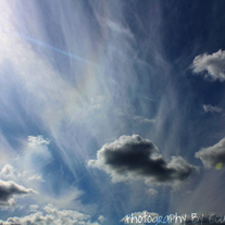 Photosbylacourt1_medium