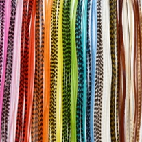 All_20colors_20pic_20vert_medium