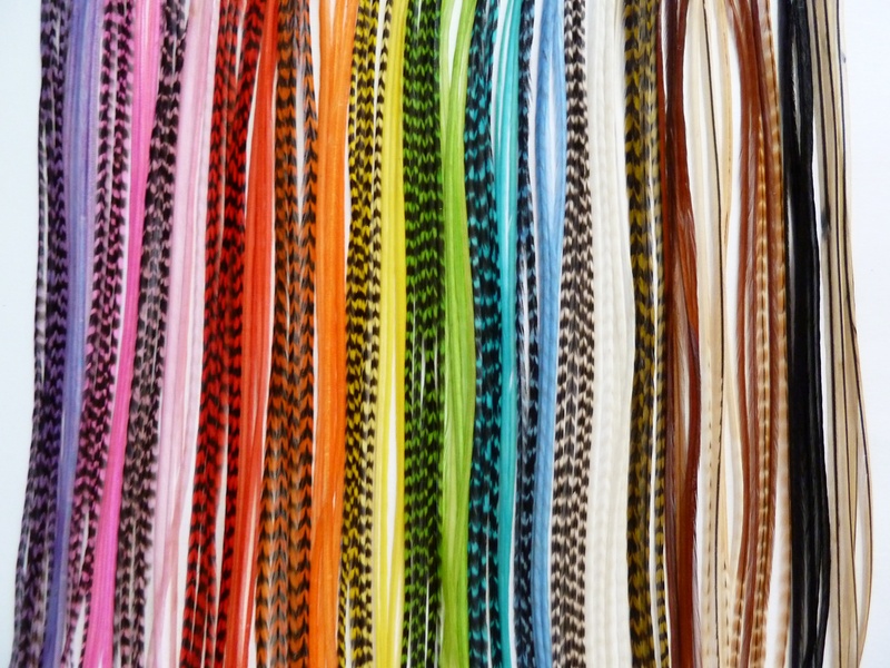 All_20colors_20pic_20vert_original