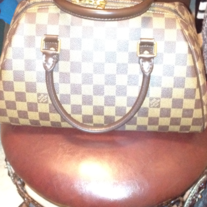 Louis Vuitton Ribera  Bag