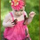Butterfly_pink_and_brown_small