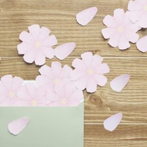 Cosmos Sticky Notes