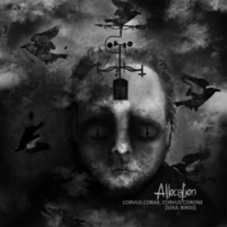 Allocation - Soul Birds 10"