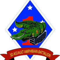 3RD Assault Amphibian Battalion