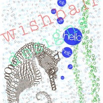 Seahorse_card_001_medium