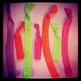 Sisterly Ties- No-Crease Hair Tie (ONE) - Thumbnail 2