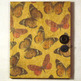 Butterflyj-3_small