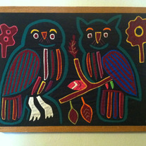 Owl_mola1_medium