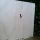 Totter_2_small