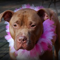 Dsc_0378_medium