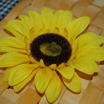 Dsc_1467_medium
