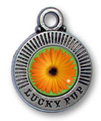 Tag_gerbera_sm72_original