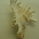P9282679_small