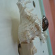 P9282680_small
