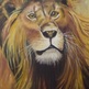Lioen_king__6_small