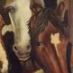 Dscf0209_small