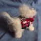 Dscf0676_small