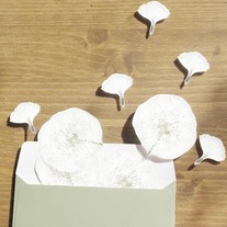 Dandelion Sticky Notes