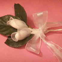 Jordan_almond_favor_2_almonds_medium