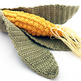Corn1_small