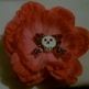 Peony_small