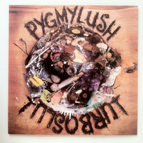 Pygmy Lush / Turboslut split LP