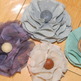 Dscn2566_small