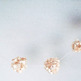 Buttercream5_small