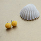 Dsc_0101_small